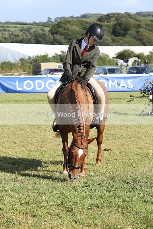 JPP_3028 - Class 20: Working Hunter 70cm