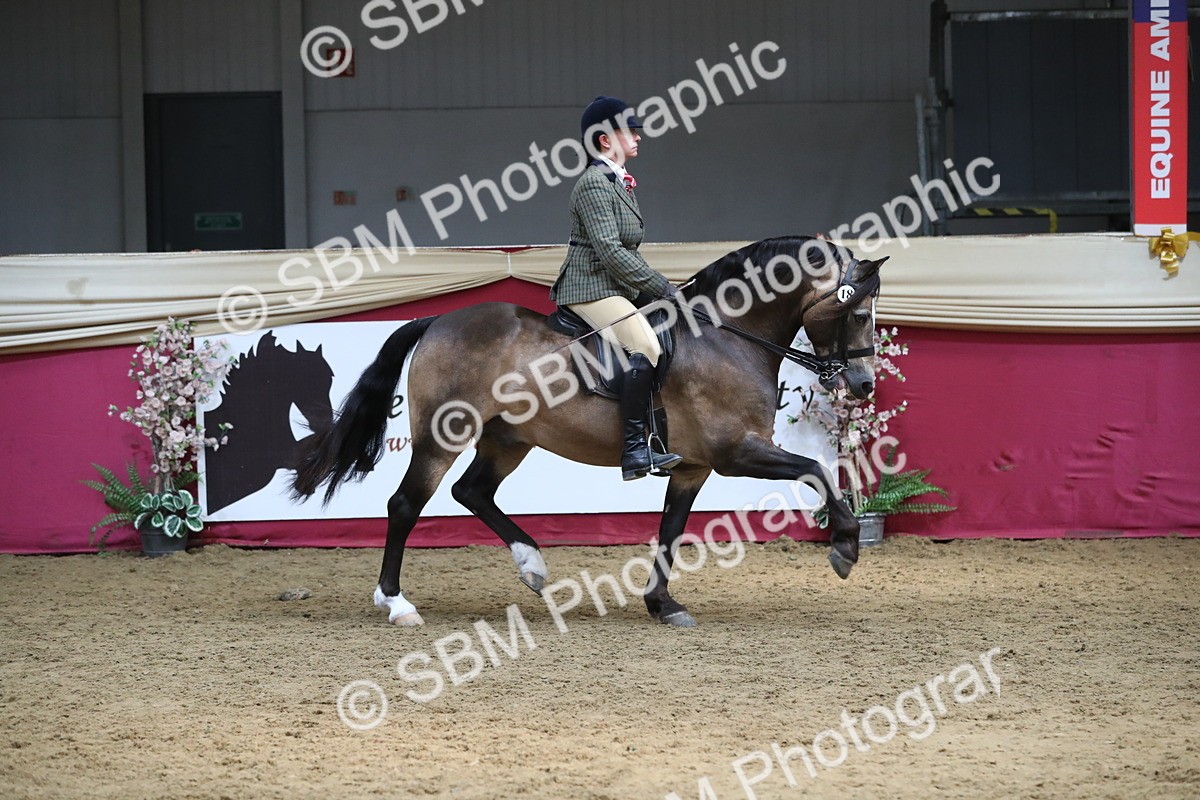 SBM_16264 - Class 502 M&M Ridden Supreme Final