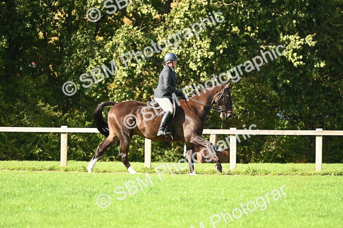 SBM_26439 - S6 - Novice & newcomer Ridden horse
