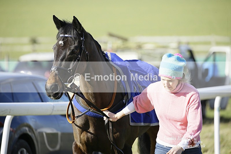PtP 260222 310 - Kingston Blount Racing Club Point-to-Point 26/02/22