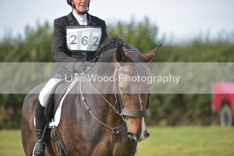 RAY_7905 - Class 2B: Trekenning Open: Dressage
