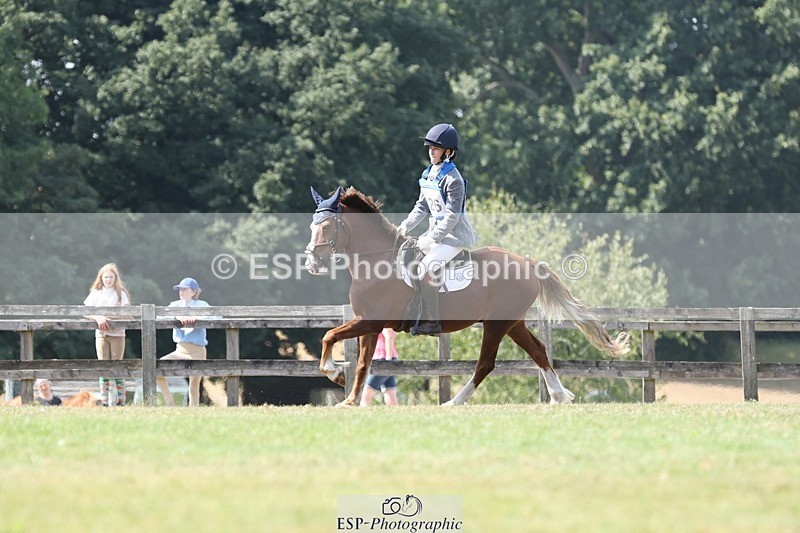 250823A-134256-31352 - Arena D