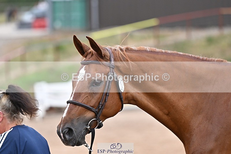 250716-164908-00778 - Trot Up 4.30 to 5.00