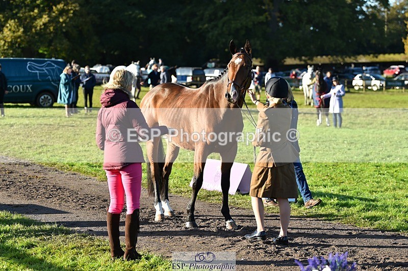 231022-094424-22002 - 450-NORDIC.FIRE-Lara.Hails-TrotUp+SJ