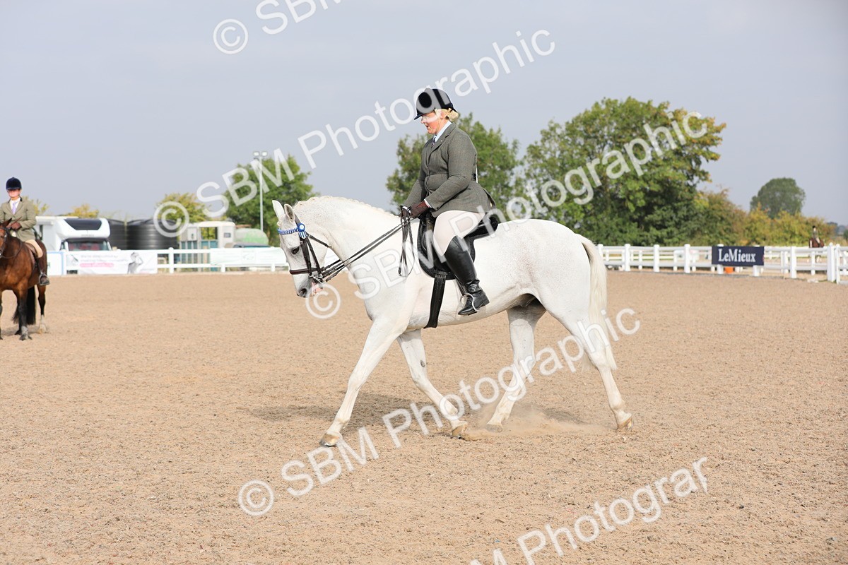 SBM_10891 - Class 304 Ridden Part Bred Horse/Pony