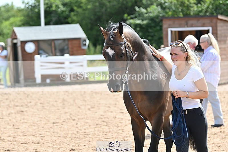 240717A-154632-03063 - Trot Up 3pm to 4pm