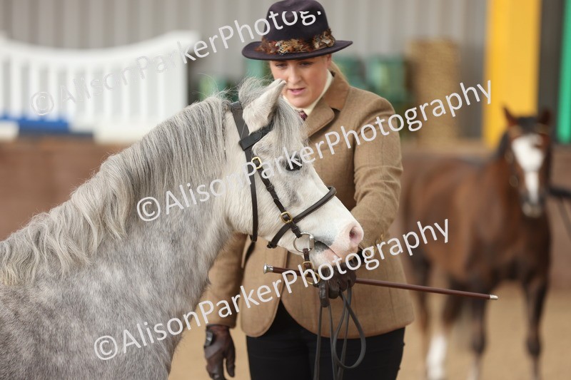 20251109-0631 - Class 22 - Geldings 4 Years and over