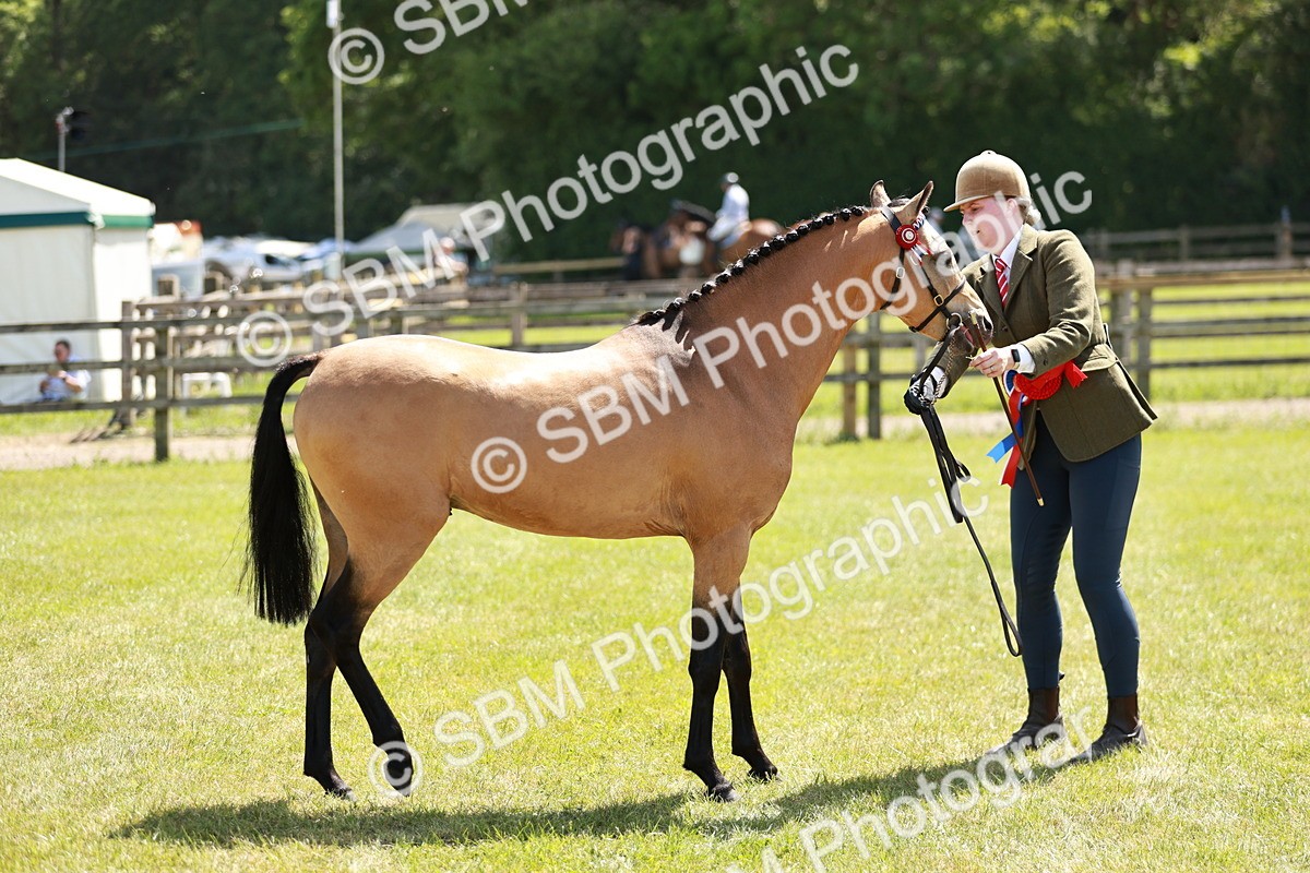SBM_05593 - Class 41-45 - Riding Pony-Hunter Pony Breeding
