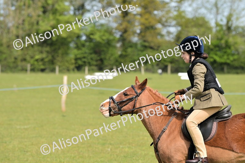 20260426-2295 - Class 20 - Beginner Working Hunter