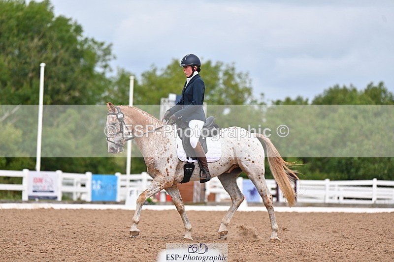 240817A-113728-08076 - 234-Pip.Stephens-Odd.spot.bright.eyes