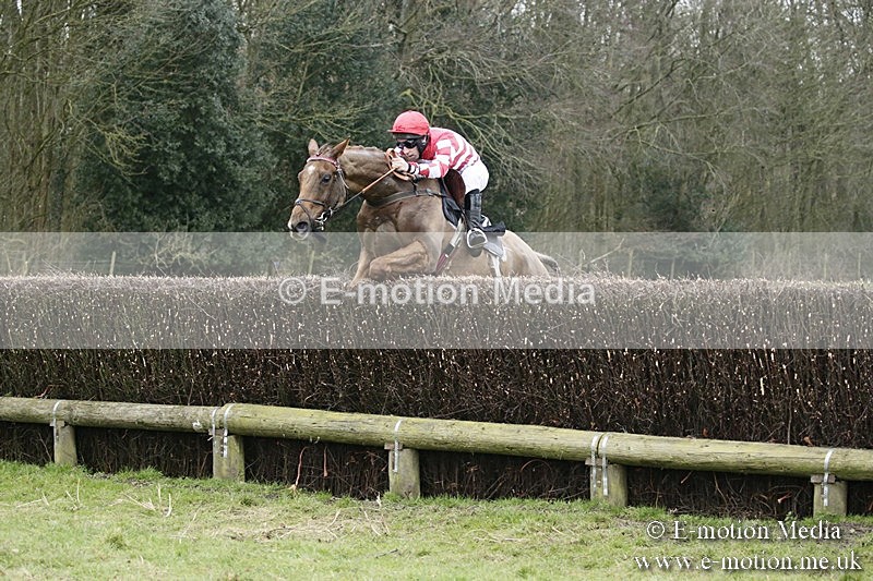 PtP 110318 58 - Hampshire Hunt Point-to-Point Hackwood Park 11/03/18