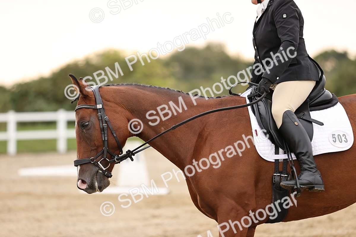 SBM_000466 - Prelim 3