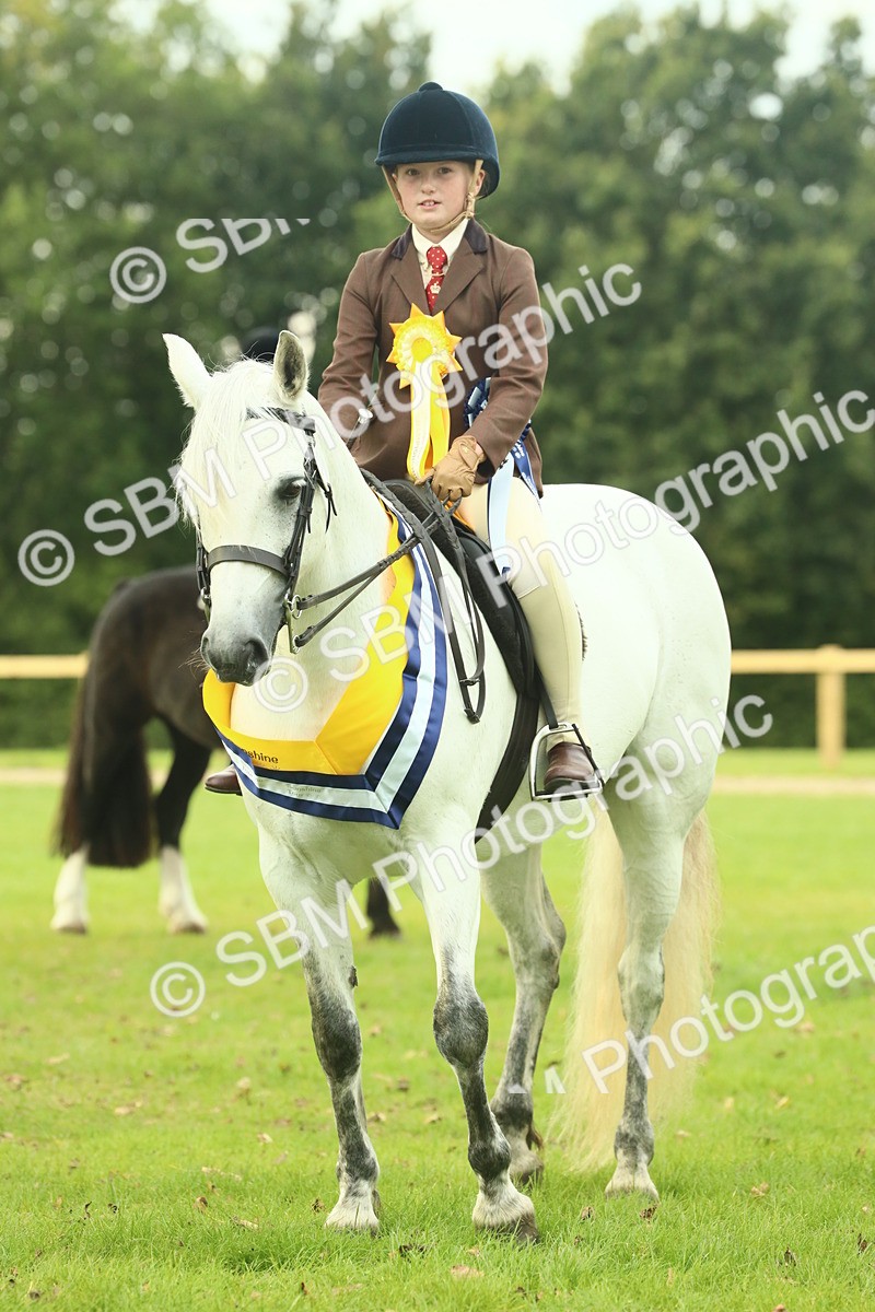 SBM_75108 - Ridden Pony Supreme Championship
