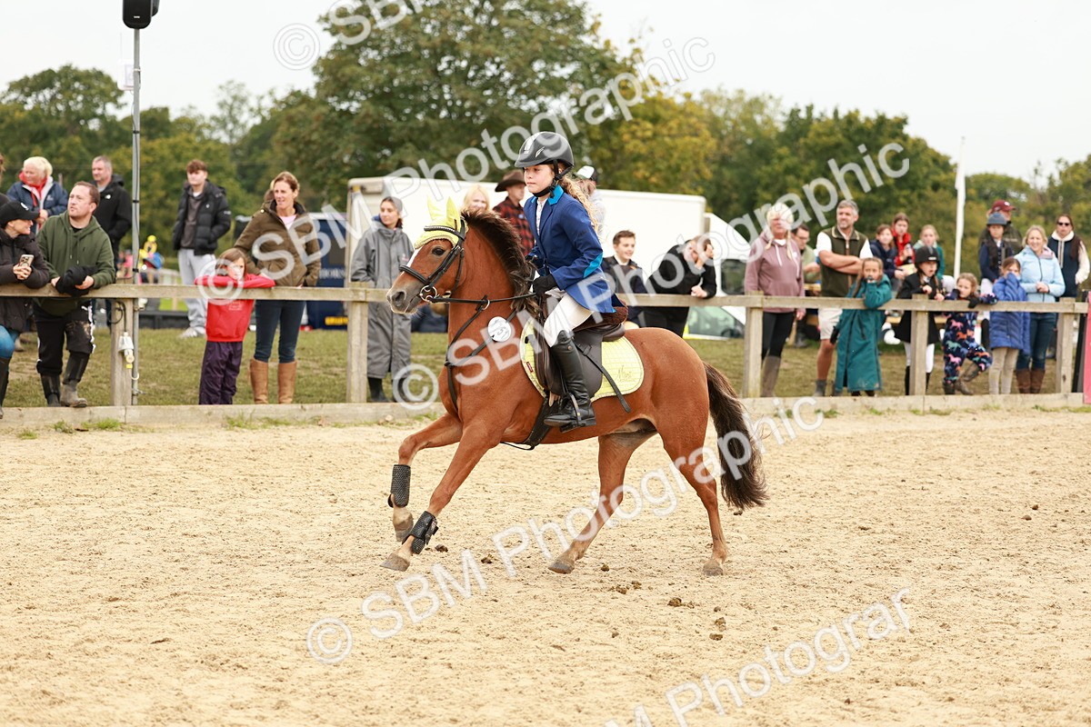 SBM_58141 - J11 - Junior Pony 50cm Championship