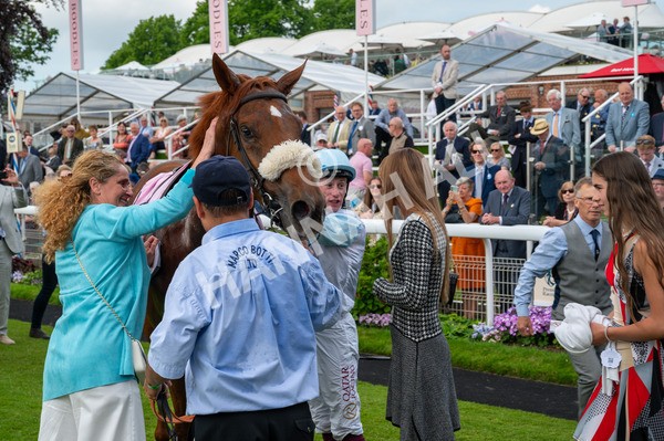 170524-Race 4-Giavellotto-8784 - Race 4 3.45pm Boodles Yorkshire Cup Stakes