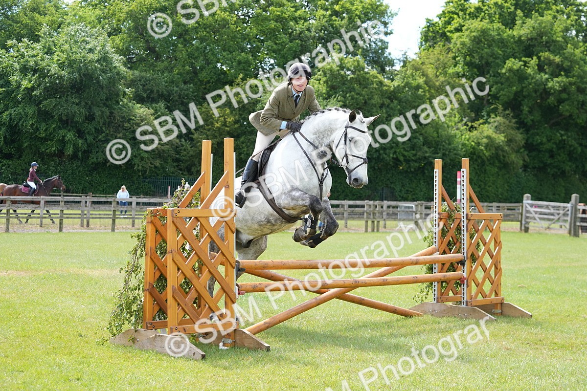 SBM_14855 - Class 100-102 - RIHS Working Hunter