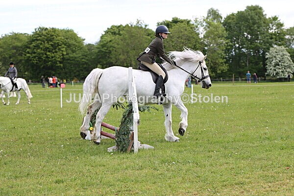 IMG_2511 - Working Hunter