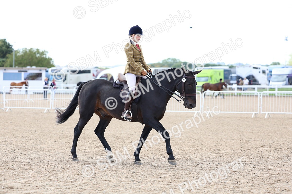 SBM_10077 - Class 304 - Ridden Part Bred Horse Pony