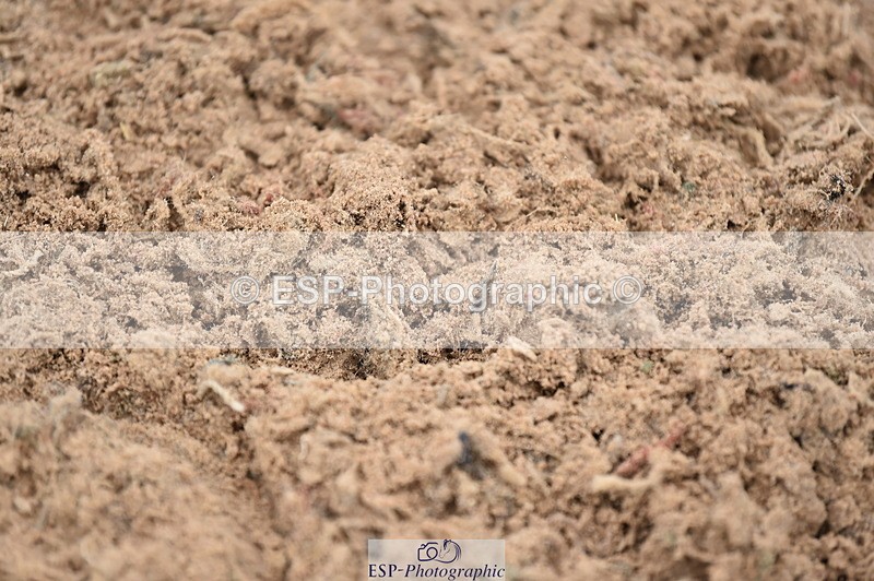 231013A-152304-03000 - Cls 5 1.15 Members Cup