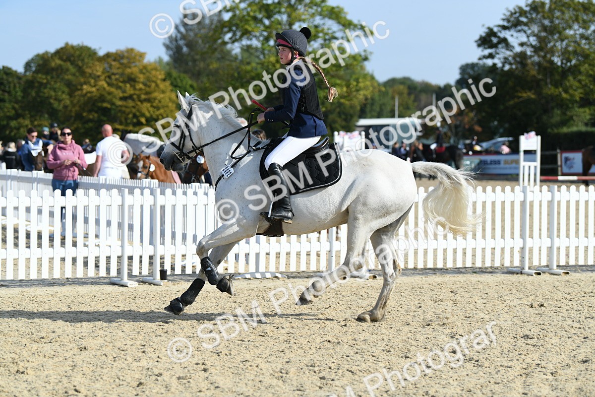 SBM_60654 - j25 - Junior Horse 80cm Championship