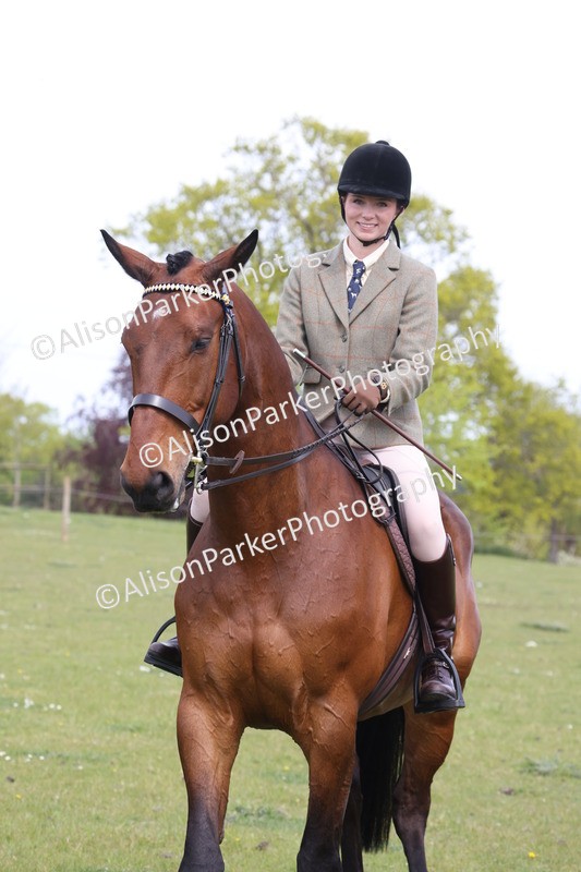 20260426-4382 - Class 34 - Best Riding Horse Over 14.2hh