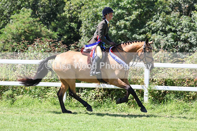 3E7A9346 - Working Hunter Championship