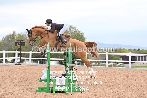 BPP_3364 - CLASS 13 - SAT - SENIOR BRITISH NOVICE / 90CM OPEN