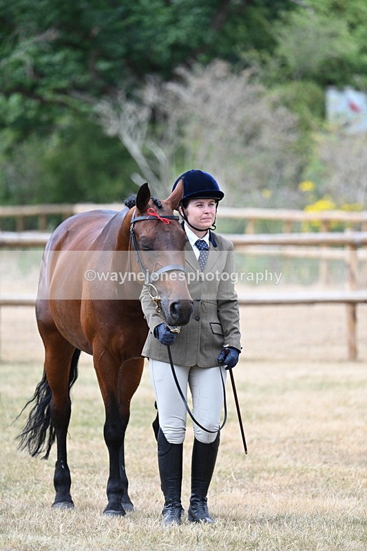 WJ7_1856 - Class 4a Prettiest Mare 14.2hh and over hand