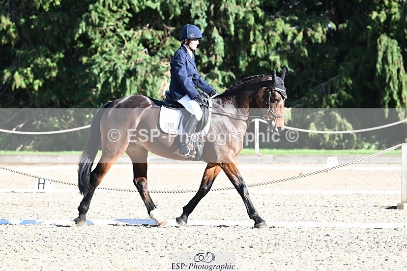 231110-132254-00923 - Cls 4 Novice 39Q