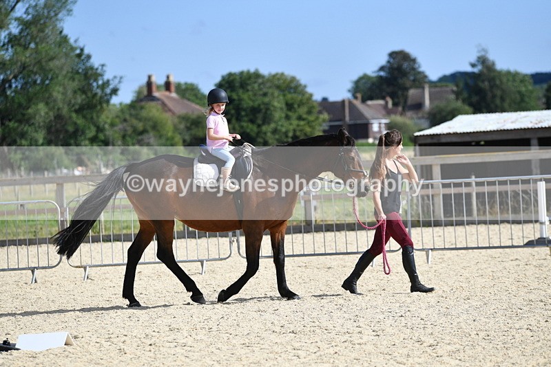 WJ5_5489 - Poles on the Floor