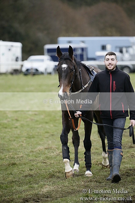 PtP 110318 198 - Hampshire Hunt Point-to-Point Hackwood Park 11/03/18