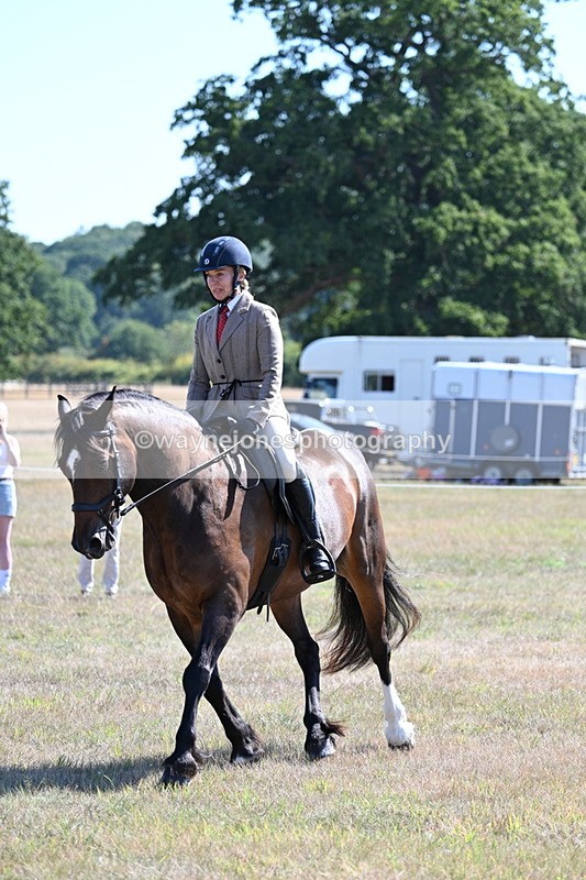 WJ7_3911 - Class 9 Mountain & Moorland Ridden
