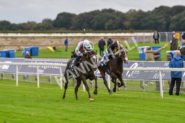 131023-Race 2-Lordship-9190 - Race 2 2.40pm William Hill Finale Handicap