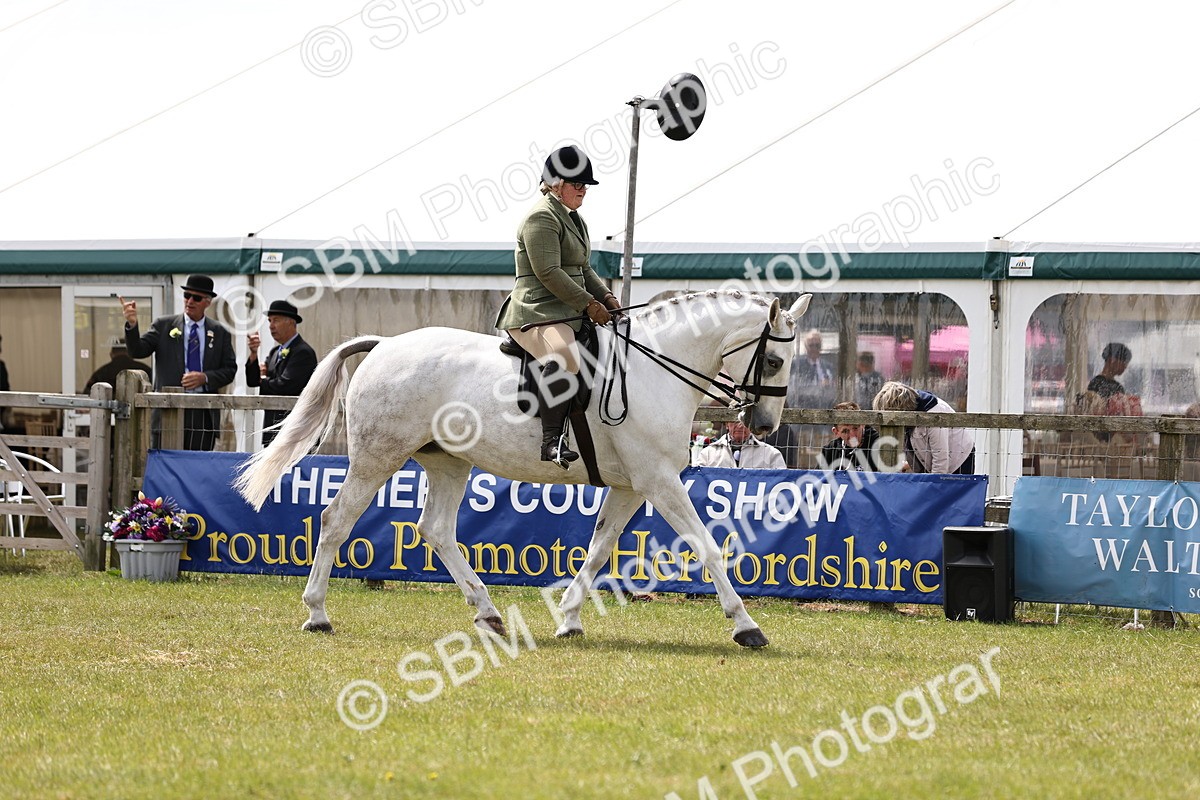 SBM_14701 - Class 88-89 - LIHS BSHA Rising Star of Ridden Hunter Type