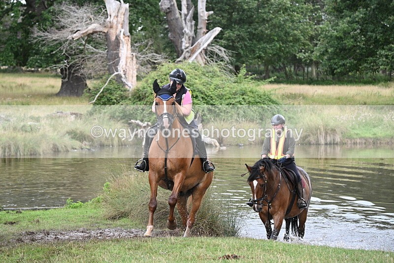 WJ7_4919 - Time at Water 14:00 to 14:53