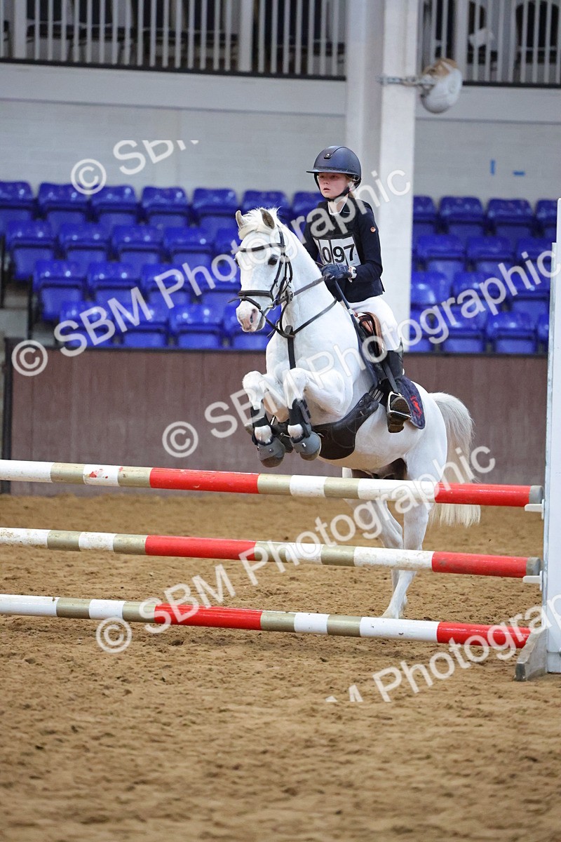 SBM_002052 - Class 5 - Show Jumping 80cm