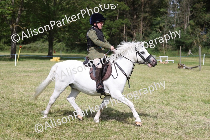 20260614-0716 - Class 20 - Beginners Working Hunter Pony