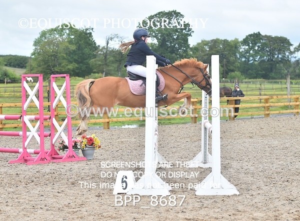 BPP_8687 - CLASS 5 Springboard 128cm/ 138cm Restricted Handicap