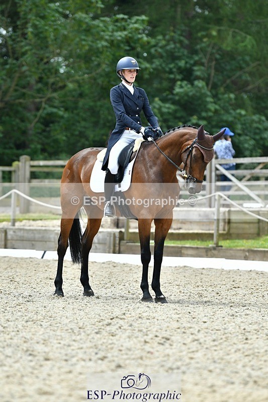 230525-120301-04156 - 205-ARTICUS-Maja_Hullah-WEDTrotUp+DR