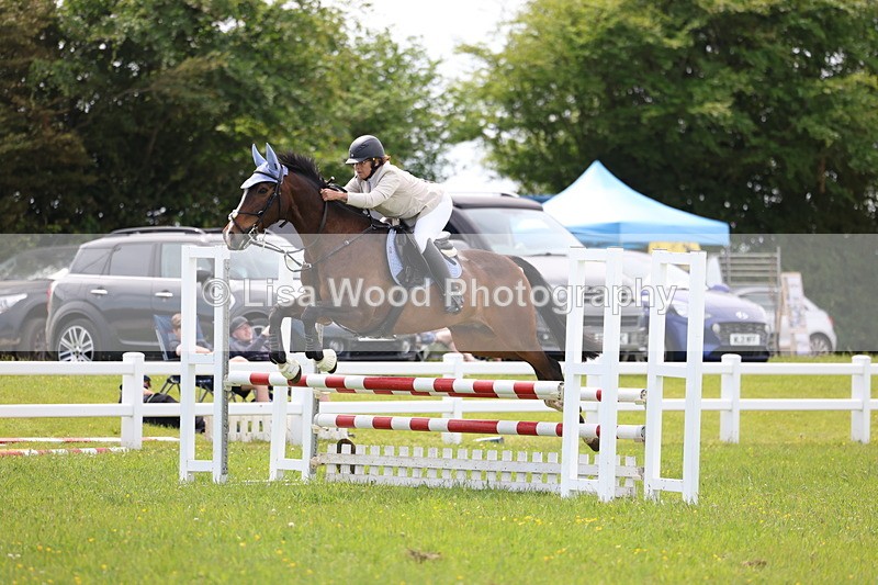 3E7A1456 - Class 13: Senior British Novice/90cm open