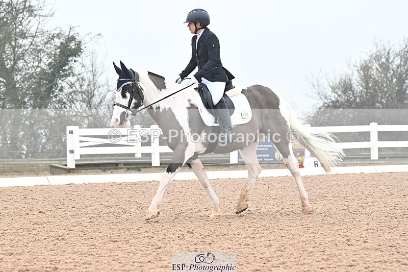 240217A-121005-02128 - 100-Gemma.Pine-Major.IV