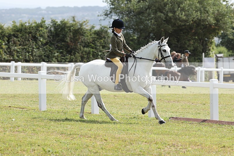 JPP_0931 - Class 16: Cornish Combination Young Rider