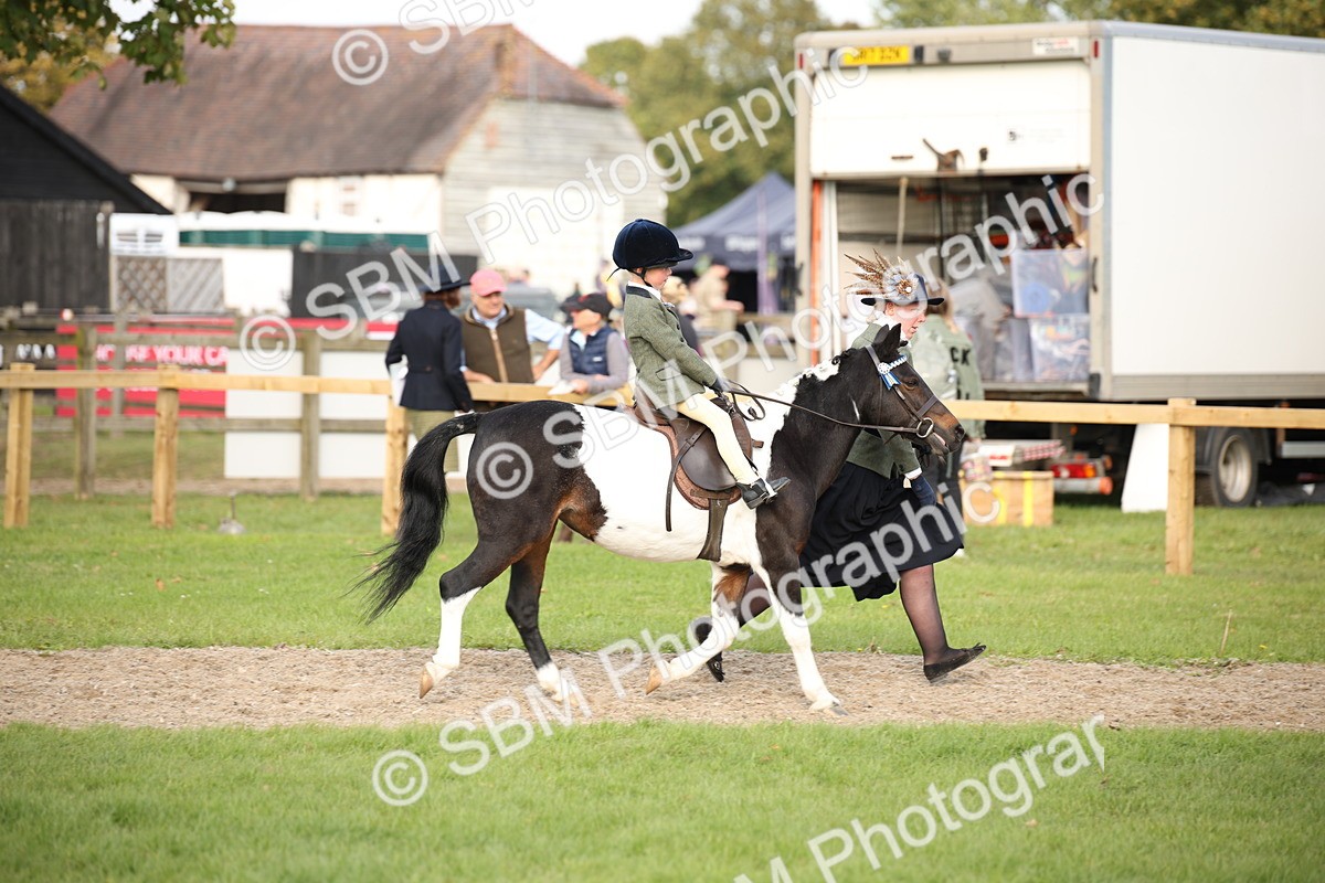 SBM_54260 - S27 - Mature Veteran - Ridden