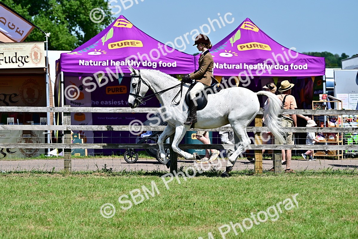 SBM_17549 - Class 95-97 - BSPS LHS Performance Ponies
