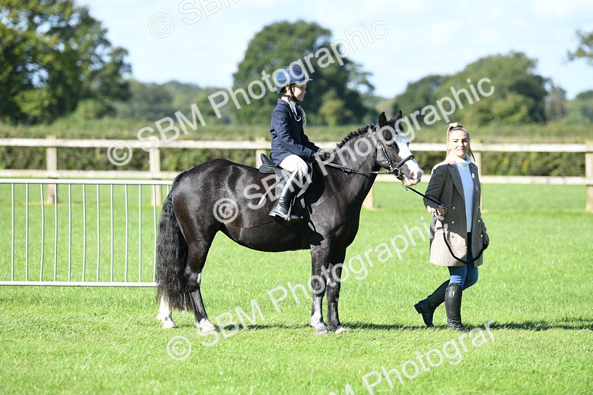 SBM_39538 - S18 - Novice & Newcomers Lead Rein Pony