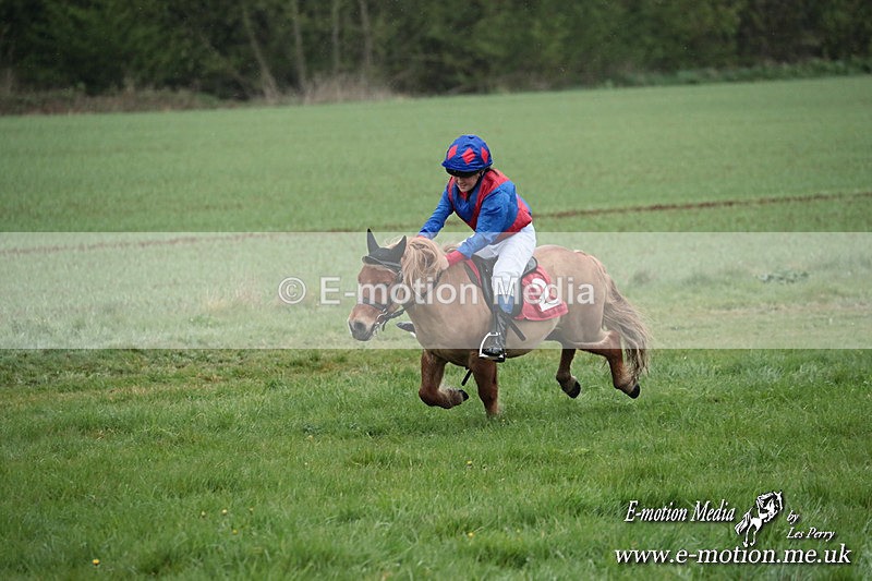 SHETPR 210425 100 - Shetland Ponies Paxford Races 21/04/25