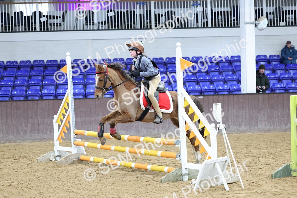 SBM_001099 - Class 3 - Christmas Tree Stakes - 60cm