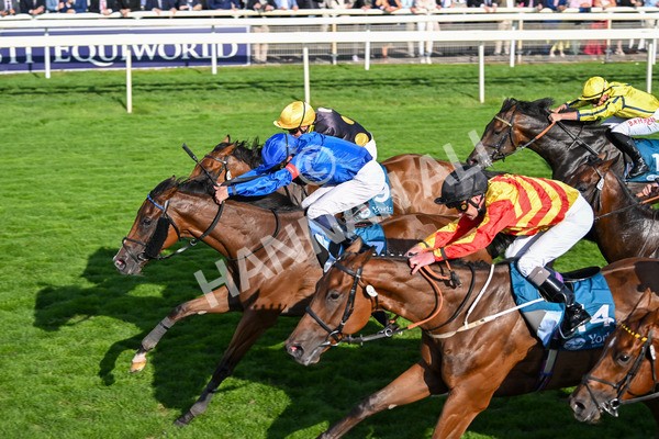 220825-Race 7-Fifth Column-7865 - Race 7 5.20pm Sky Bet Mile Handicap