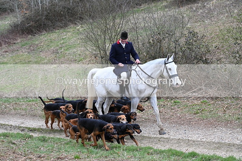 WJ7_7330 - Walk Home