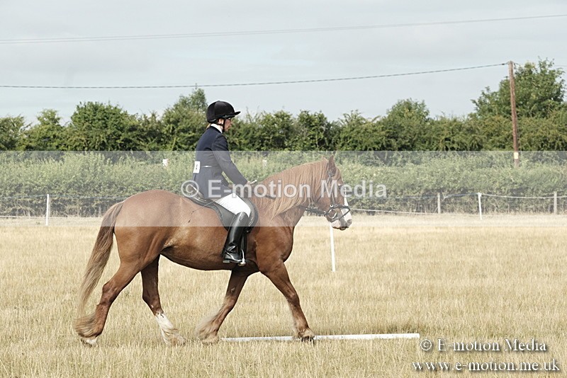 _PJP5607 - Dressage Classes BVRC Show 2018